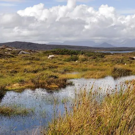 Semesterbostad Carna *