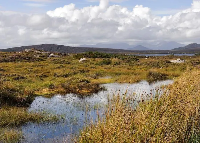 Semesterbostad Carna *